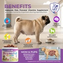 dog-prenatal-vitamins-120-soft-chews-mul-2.jpg