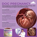 dog-prenatal-vitamins-120-soft-chews-mul-3.jpg
