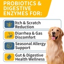 probiotics-for-dogs-improve-itchy-skin-i-2.jpg