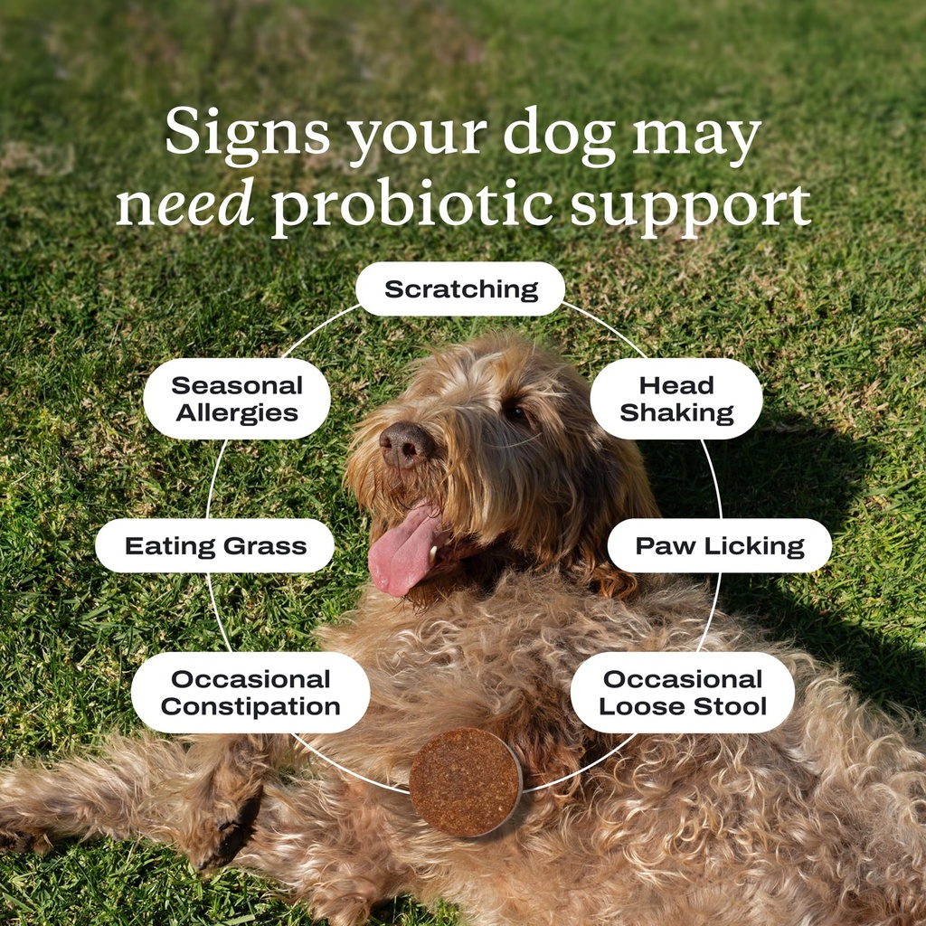 petlab-co-probiotic-chews-for-dogs-30-so-3.jpg