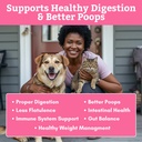 probiotics-for-dogs-and-cats-for-gut-dig-4.jpg