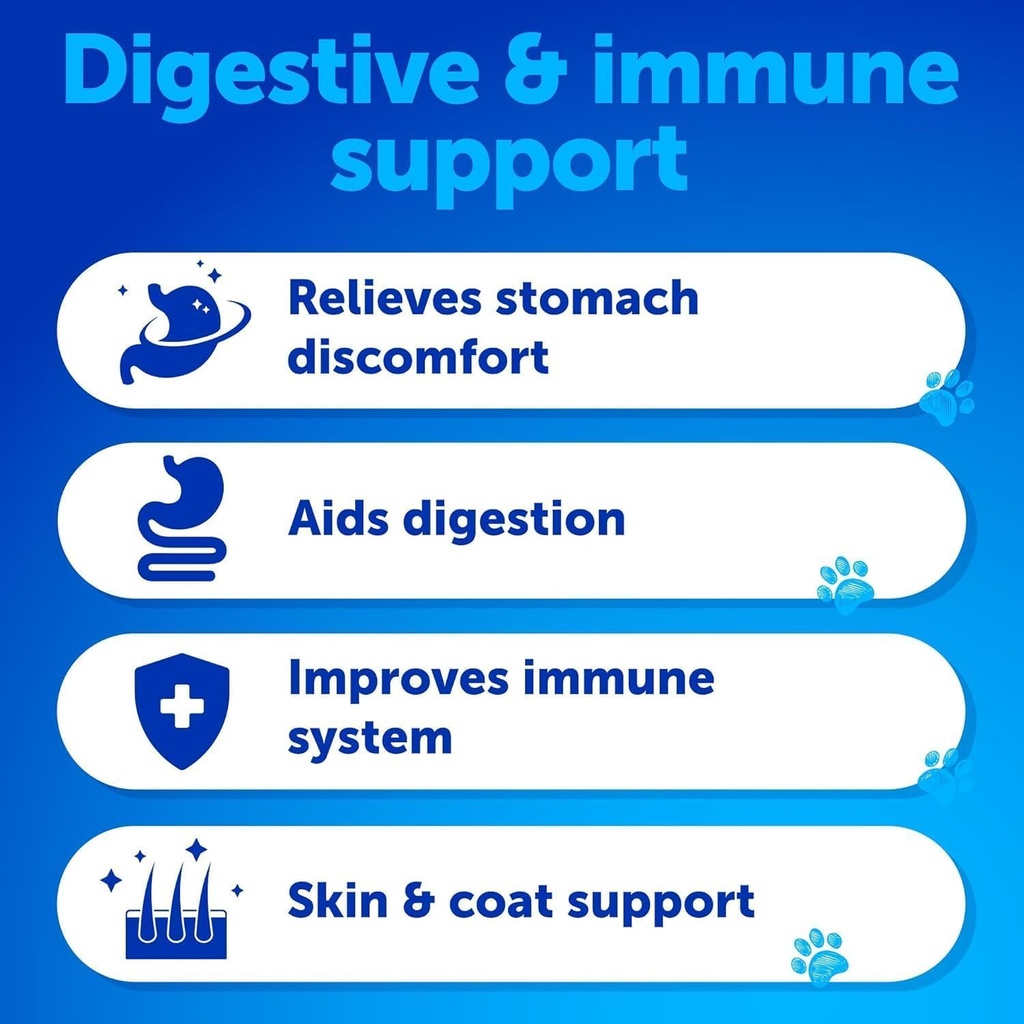 probiotics-for-dogs-support-gut-health-i-2.jpg