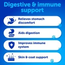 probiotics-for-dogs-support-gut-health-i-2.jpg