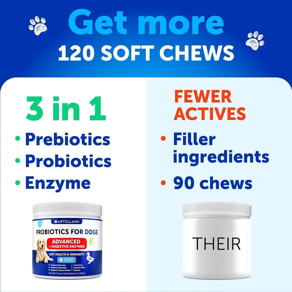 probiotics-for-dogs-support-gut-health-i-4.jpg