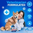 probiotics-for-dogs-support-gut-health-i-6.jpg