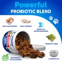 probiotics-for-dogs-support-gut-health-i-3.jpg