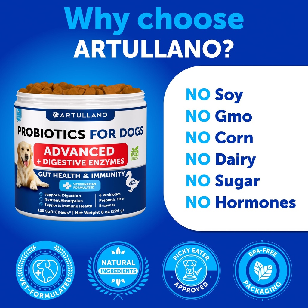 probiotics-for-dogs-support-gut-health-i-5.jpg