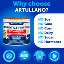 probiotics-for-dogs-support-gut-health-i-5.jpg