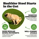 probiotics-for-dogs-helps-digestion-loos-3.jpg