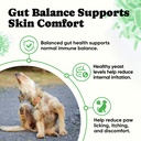 probiotics-for-dogs-helps-digestion-loos-4.jpg