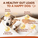 zebora-probiotics-for-dogs-digestive-itc-3.jpg