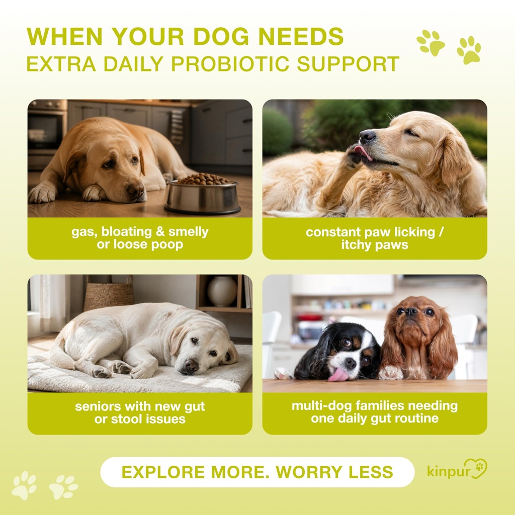 probiotics-for-dogs-with-digestive-enzym-2.jpg