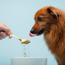 the-missing-link-pet-kelp-dog-probiotic--2.jpg