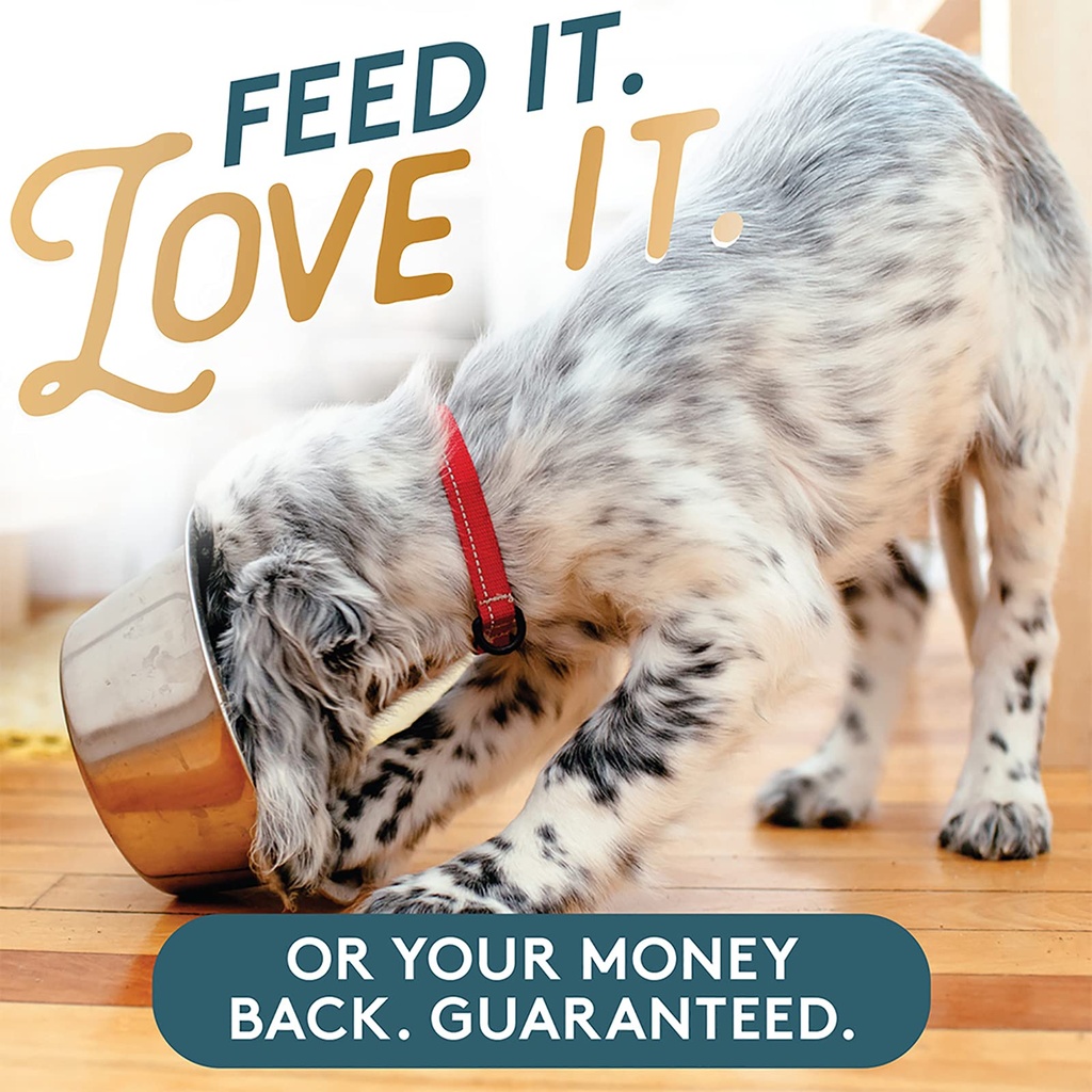 the-missing-link-pet-kelp-dog-probiotic--6.jpg