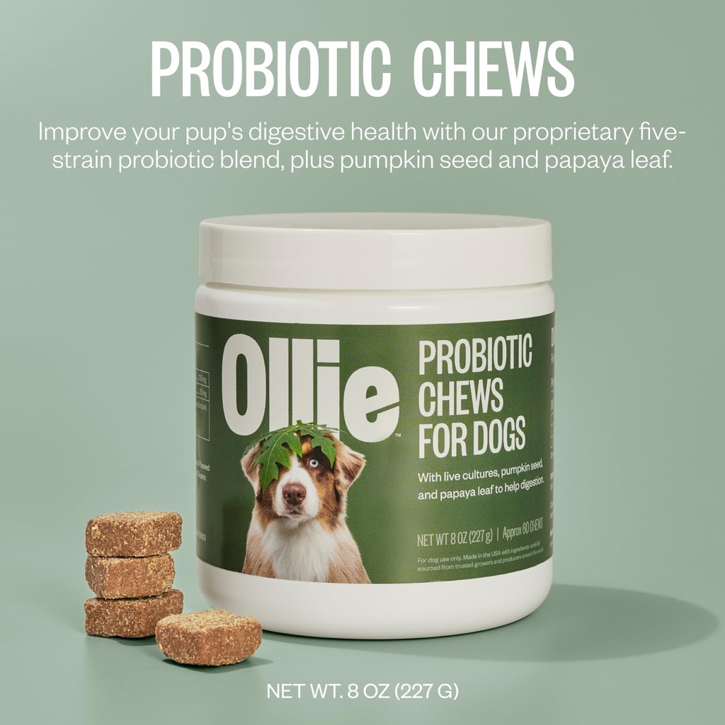 ollie-belly-rubs-probiotic-dog-chews-app-3.jpg