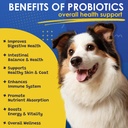 probiotics-for-dogs-digestive-health-120-3.jpg