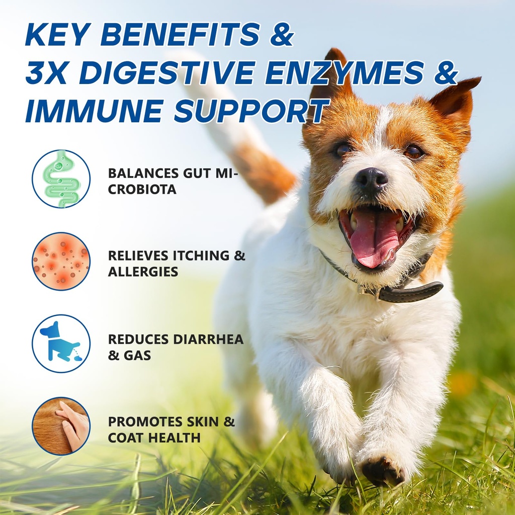 probiotics-for-dogs-dog-probiotic-chews--3.jpg