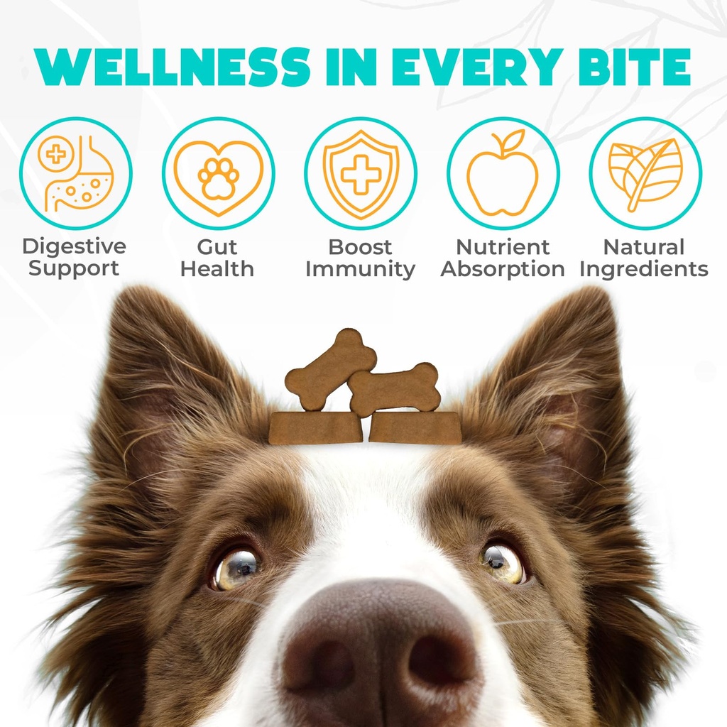probiotics-for-dogs-chews-150pcs-digesti-2.jpg