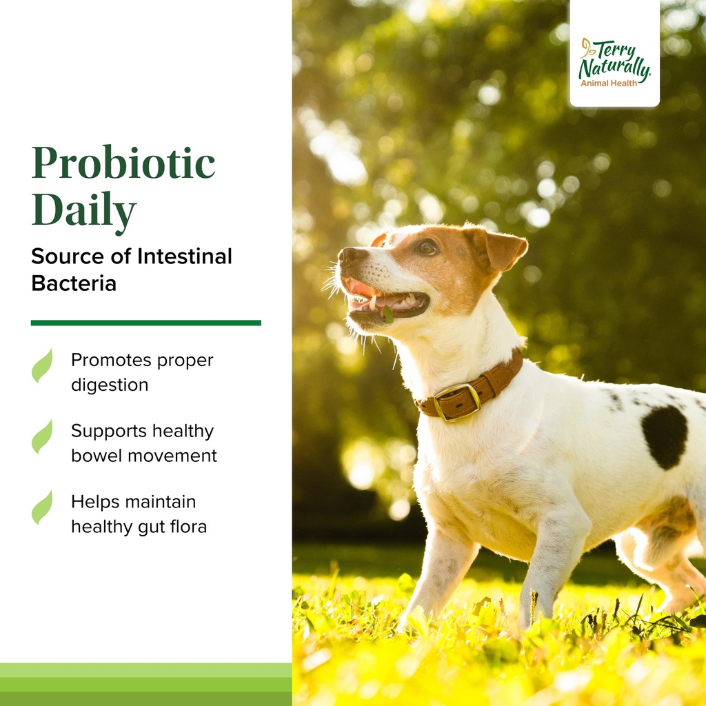 terry-naturally-probiotic-daily-balance--3.jpg