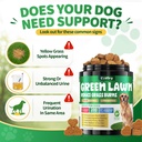 dog-urine-neutralizer-for-lawn-green-gra-5.jpg