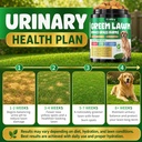 dog-urine-neutralizer-for-lawn-green-gra-6.jpg