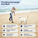 11-strain-probiotics-for-dogs-digestive--4.jpg
