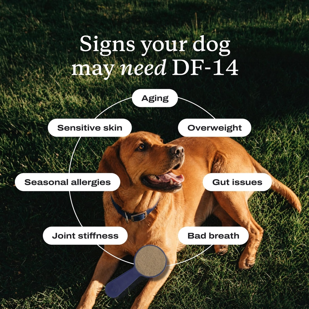petlab-co-df-14-daily-foundation-supplem-3.jpg