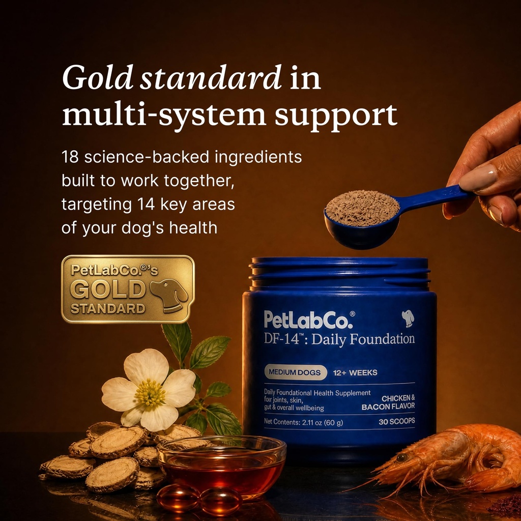 petlab-co-df-14-daily-foundation-supplem-4.jpg