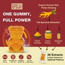 sapotax-korean-red-panax-ginseng-supplem-2.jpg