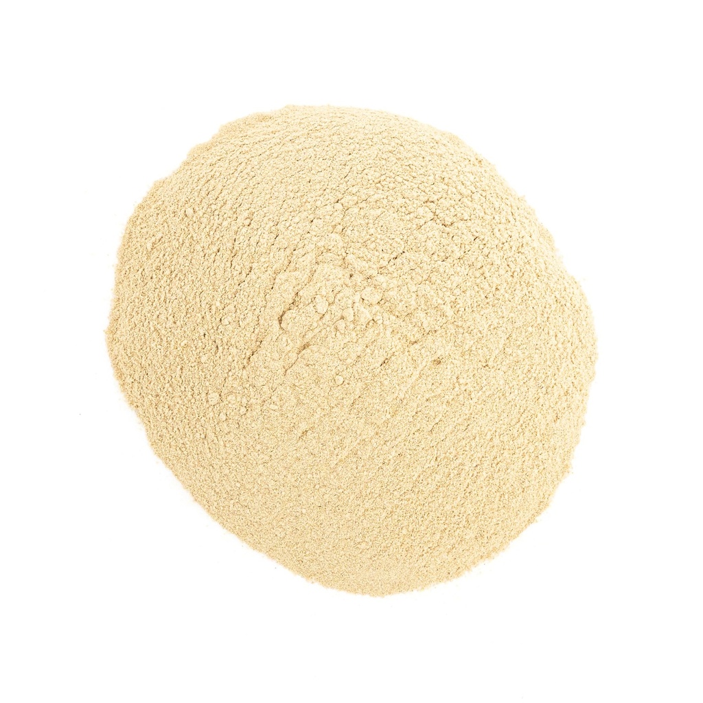 american-ginseng-powder-by-herb-co-panax-2.jpg