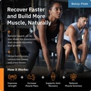 protein-clinic-total-body-recovery-shake-2.jpg