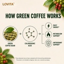 lovita-green-coffee-bean-extract-800mg-8-4.jpg