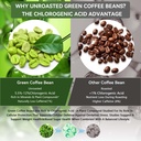 green-coffee-bean-extract-50-chlorogenic-2.jpg