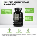 davinci-labs-adipo-leptin-benefits-dieta-3.jpg