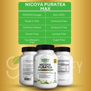 nicoya-puratea-max-green-tea-extract-gre-5.jpg