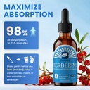 berberine-liquid-drops-with-ceylon-cinna-6.jpg