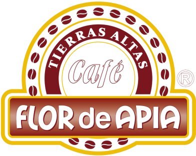 colombian-green-coffee-bean-special-micr-4.jpg