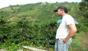 colombian-green-coffee-bean-special-micr-3.jpg