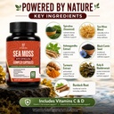 sea-moss-and-shilajit-bundle-2-bottle-co-5.jpg