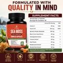 sea-moss-and-shilajit-bundle-2-bottle-co-6.jpg
