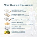 advanced-bone-joint-support-supplement-f-4.jpg