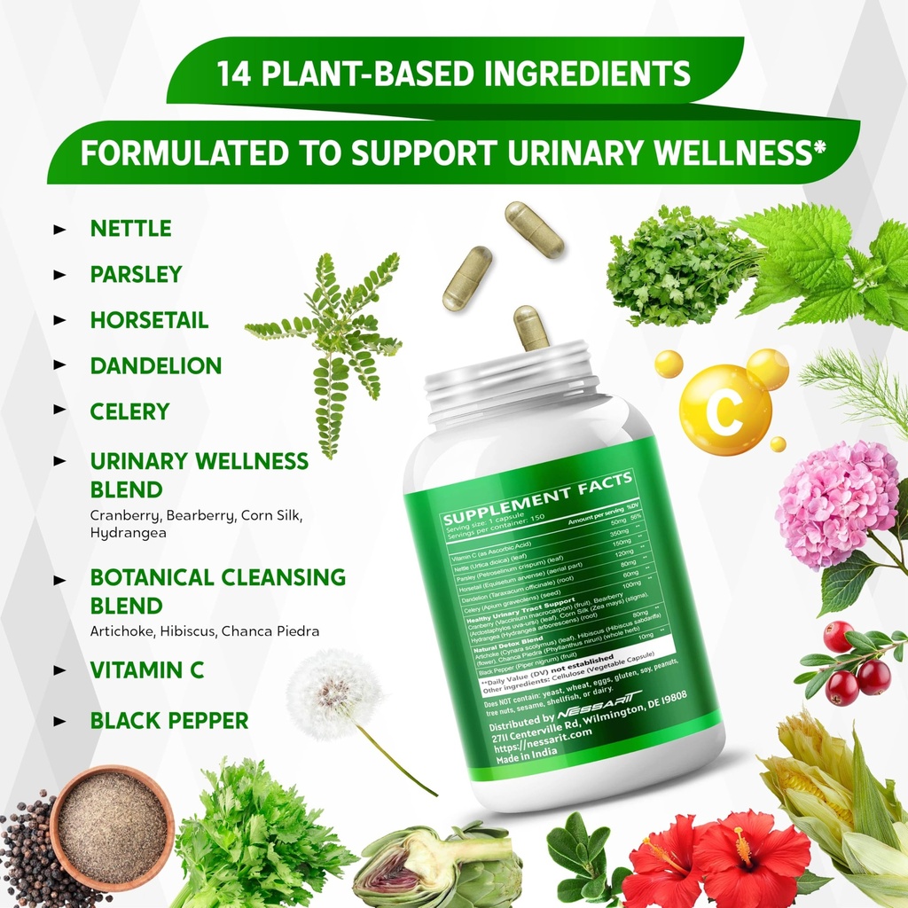 nettle-leaf-parsley-horsetail-dandelion--4.jpg