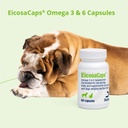 eicosacaps-omega-3-6-for-dogs-and-cats-u-6.jpg