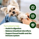 probiotic-chews-for-dogs-gut-health-tast-5.jpg