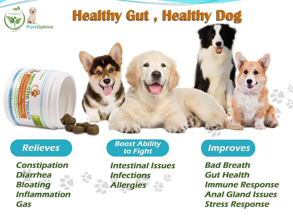 probiotics-chews-for-dogs-digestive-enzy-4.jpg