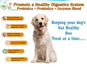 probiotics-chews-for-dogs-digestive-enzy-2.jpg