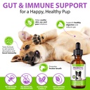 dog-probiotic-drops-3-in-1-probiotic-sup-4.jpg
