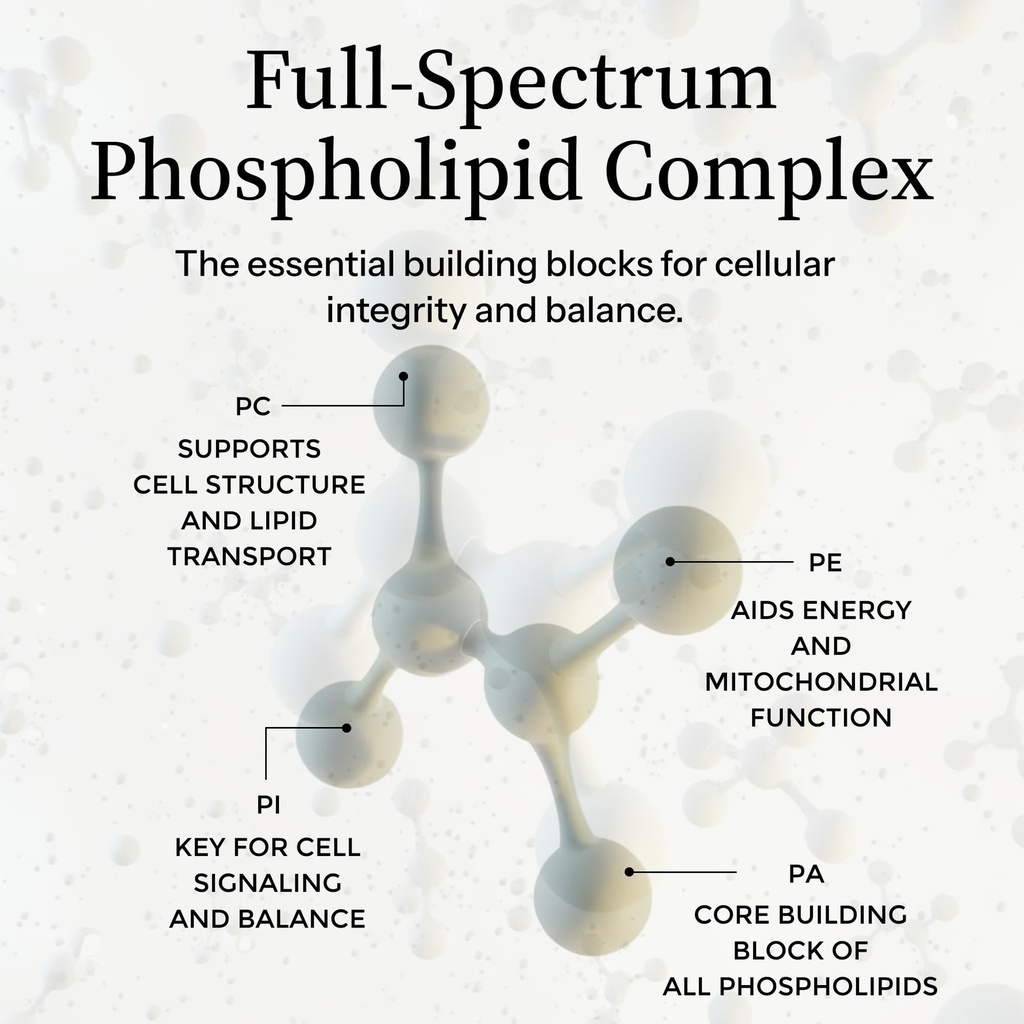 essential-phospholipid-complex-brain-hea-6.jpg