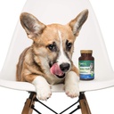 petnc-senior-multi-chewables-for-dogs-da-4.jpg