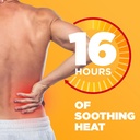 thermacare-heatwraps-advance-back-pain-t-3.jpg